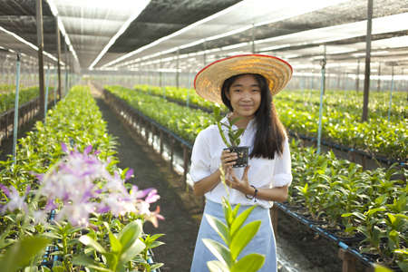 orchid girl, Young Asian girl wearing weave hat in orchid farmの写真素材