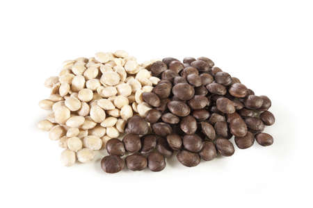 Sacha-Inchi peanut, white and brown seeds called sacha-Inchiの写真素材