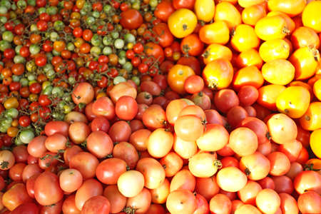tomatoes, many kinds of red tomatoes in sun shadowの写真素材