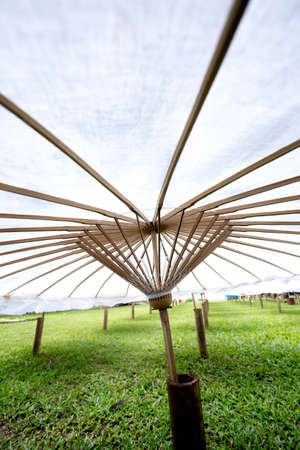 umbrella, white bamboo umbrella texture structureの写真素材