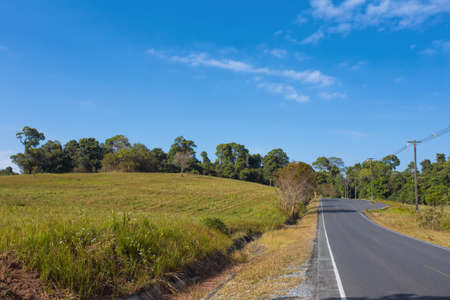 outdoor, landscape view of empty concrete road cut to wood with clear blue sky