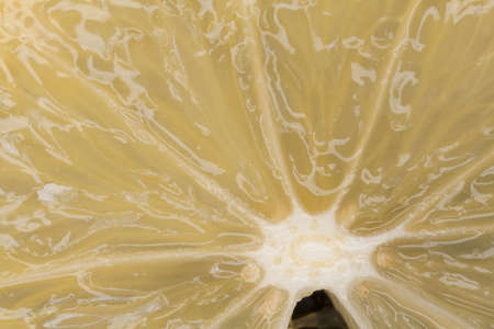 cut lemon, close-up macro of cut lemon showing skin and pulpの写真素材