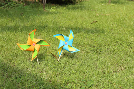 pin wheel, colorful pin wheel paper on the green lawn yard