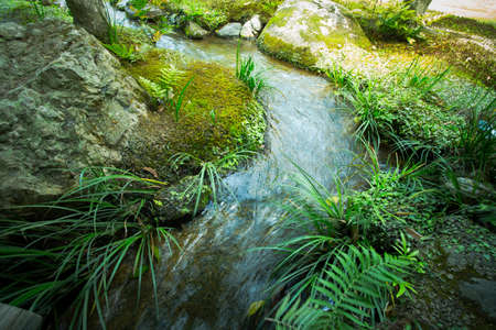 Japanese garden, view of Japanese garden with small stream, Tenryuji Temple, Kyoto, Japanの写真素材