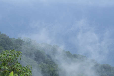 misty mountain, view of hill top mountain with mist in the morningの写真素材