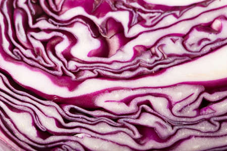 red cabbage, texture of cut red cabbage showing inside curly surfaceの写真素材