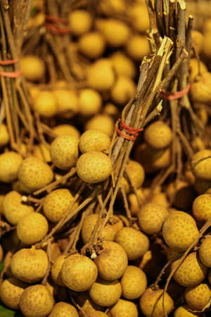 longan fruit, medium size of Longan fruit in basket selling at the marketの写真素材