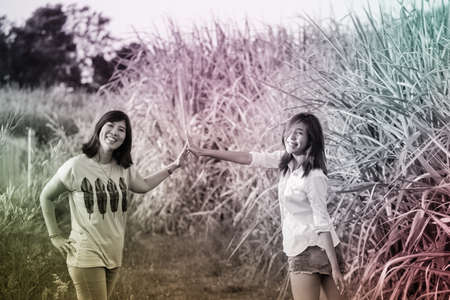 sisters in nature, female Asian sister happy together in sugar cane farmの写真素材