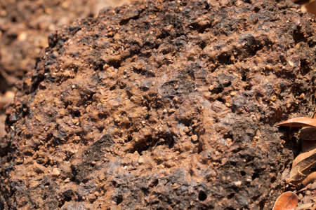 laterite texture, close up texture of laterite rock red stoneの写真素材