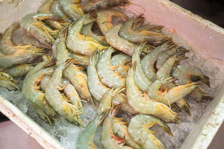 raw shrimp, Raw shrimp and prawn selling on ice in fresh market, Thailandの写真素材