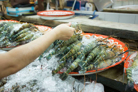 raw shrimp, Raw shrimp and prawn selling on ice in fresh market, Thailandの写真素材