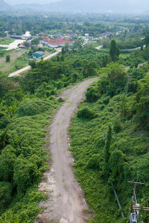 green pathway Long urban rough road pathway among green tree environment with far cityの写真素材