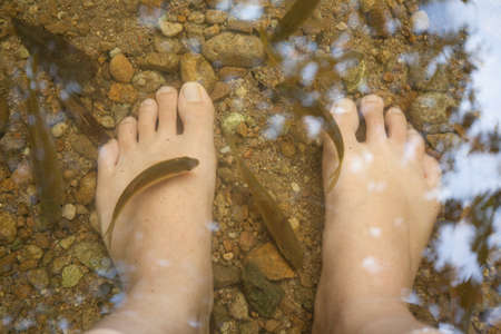 Fish spa The real nature fish spa in the waterfall pond Thailandの写真素材