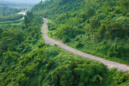 green pathway Long urban rough road pathway among green tree environment with far cityの写真素材