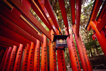 Fushimi Inari Taisha, lantern Japanese at the famous red pole or torii in Fushimi Inari taisha Kyoto, Japanのeditorial素材