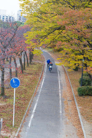 Autumn Public park, Public park during red Autumn season with bicycle lane and signage in Osaka, Japanの写真素材