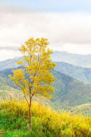 green mountain and cloud, scenic of cloudy sky with mountain hill and green forest in Thailand
