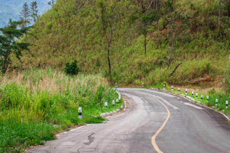 curve road, curve road to forest with pine and mountain view, Thailand