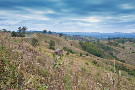 corn valley, scene of damaged mountain and forest by corn field industry in Thailandの写真素材