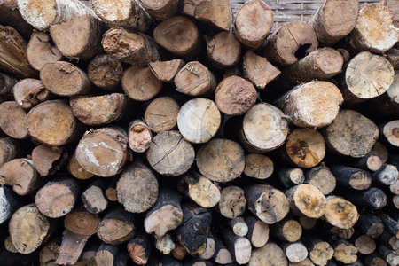 timber log wood cross sectional area showing texture pile up together.