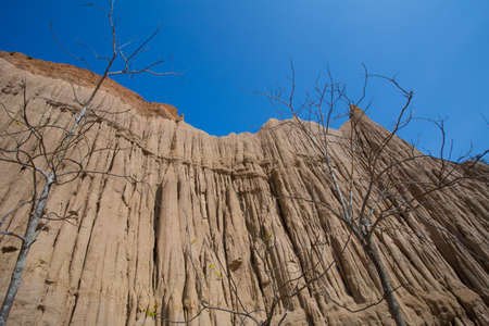 Land Texture with plant of soil erosion called earth pillar in Nan, Thailandの写真素材