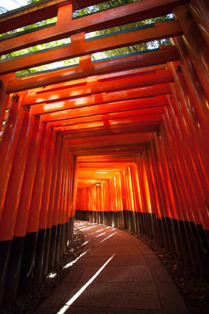 Red Torii pole tunnel at Fushimi Inari Shrine, each pole written names of donator , Kyoto Japanのeditorial素材
