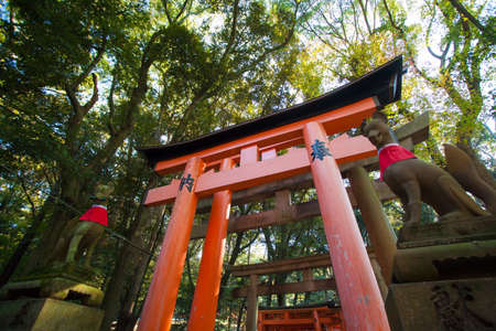Red Torii pole tunnel at Fushimi Inari Shrine, each pole written names of donator , Kyoto Japanのeditorial素材