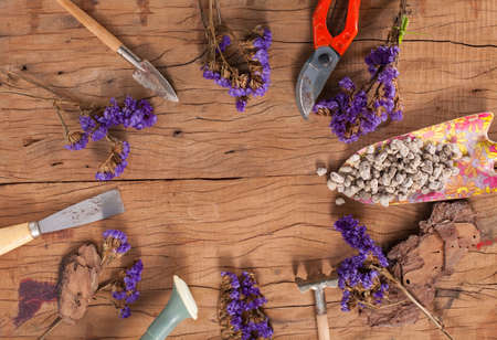Garden tools and succulent cactus plant in a pot with copy space at the center for text