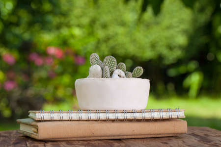 A small arranging cactus pot put on a book pile on the wood table in the gardenの写真素材