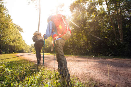 Two woman trekking along the forest pathway with trekking pole in morning sunlightの写真素材