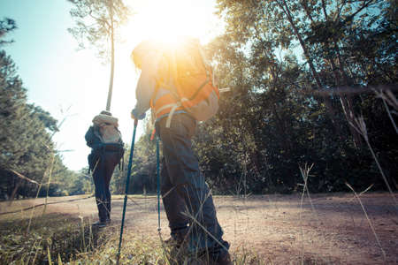 Two woman trekking along the forest pathway with trekking pole in morning sunlightの写真素材