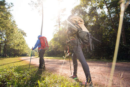 Two woman trekking along the forest pathway with trekking pole in morning sunlightの写真素材