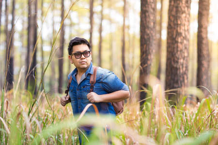 A male traveller with his sunglasses and backpack in the pine forest, Thailandの写真素材