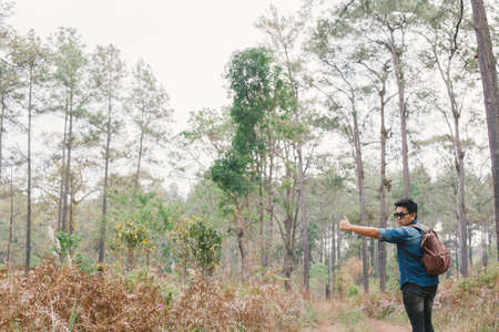 A man hitchhiking in the pine forest park, Thailand.の写真素材