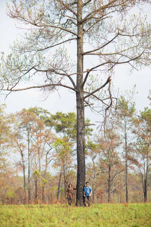 An Asian young adult couple traveling in pine forest, Thailandの写真素材