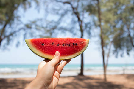 A hand having red watermelon by the sea in sunny day.の写真素材
