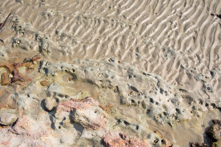 Texture of sand beach showing wave pattern and reef rock.