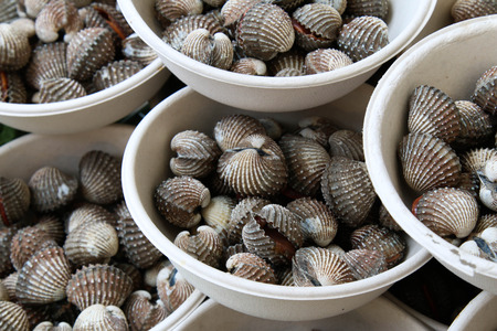 Boiled cocklesの写真素材