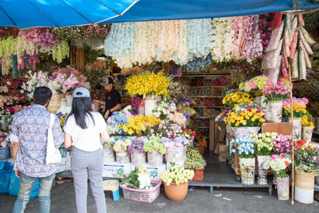 BANGKOK, THAILAND - February 23, 2019 : Flower shop selling variety of flowers at Chatuchak weekend market, Bangkok Thailand.のeditorial素材