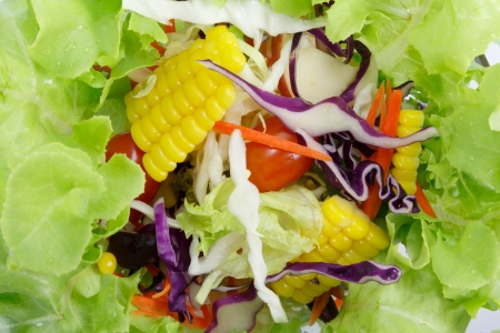 Salad vegetables on white backgroundの写真素材