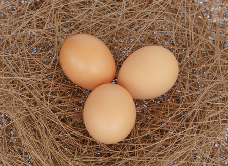 three eggs on hay nest background