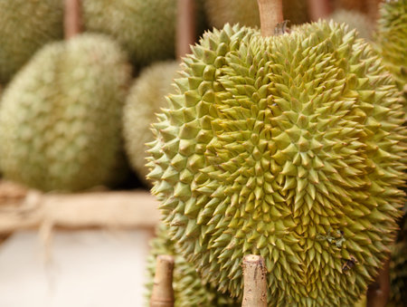 durian fruit on the market in thailand