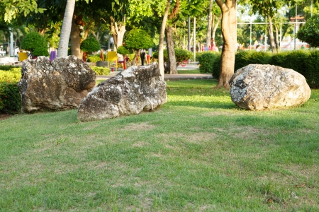 big stone bueatiful in tha garden and parkの写真素材