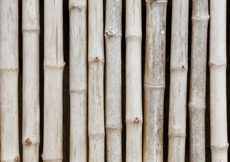 thai style bamboo fence and backgroundの写真素材