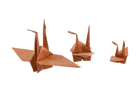 Origami Bird isolated on white backgroundの写真素材