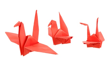 Origami Bird isolated on white backgroundの写真素材