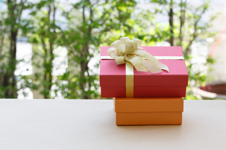 Christmas gift box  in nature backgroundの写真素材