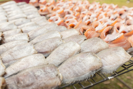 New fish dried under the sun prepare for cook.の写真素材