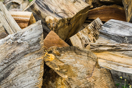 wood pileの写真素材