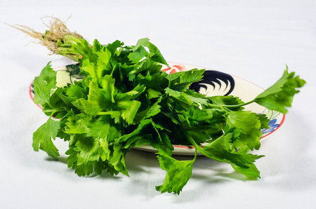 parsleyの写真素材